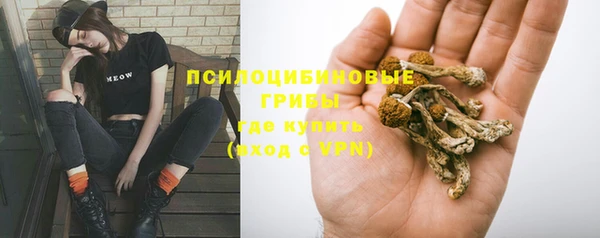 индика Алексеевка
