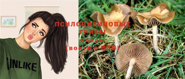 индика Алексеевка
