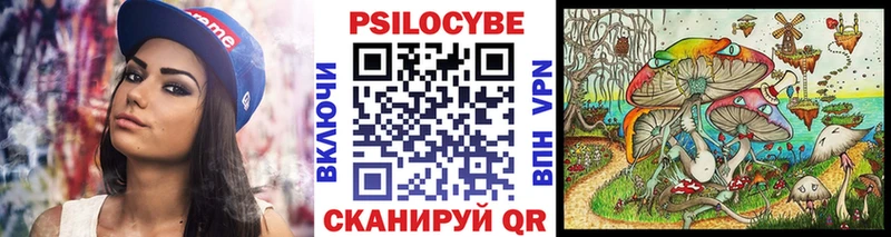 Псилоцибиновые грибы Magic Shrooms Камбарка